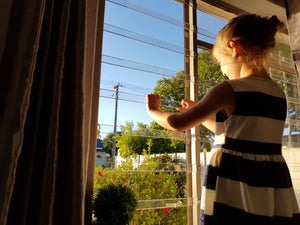 ViewProtect Transparent Window Guards, Prevent Children falling from window